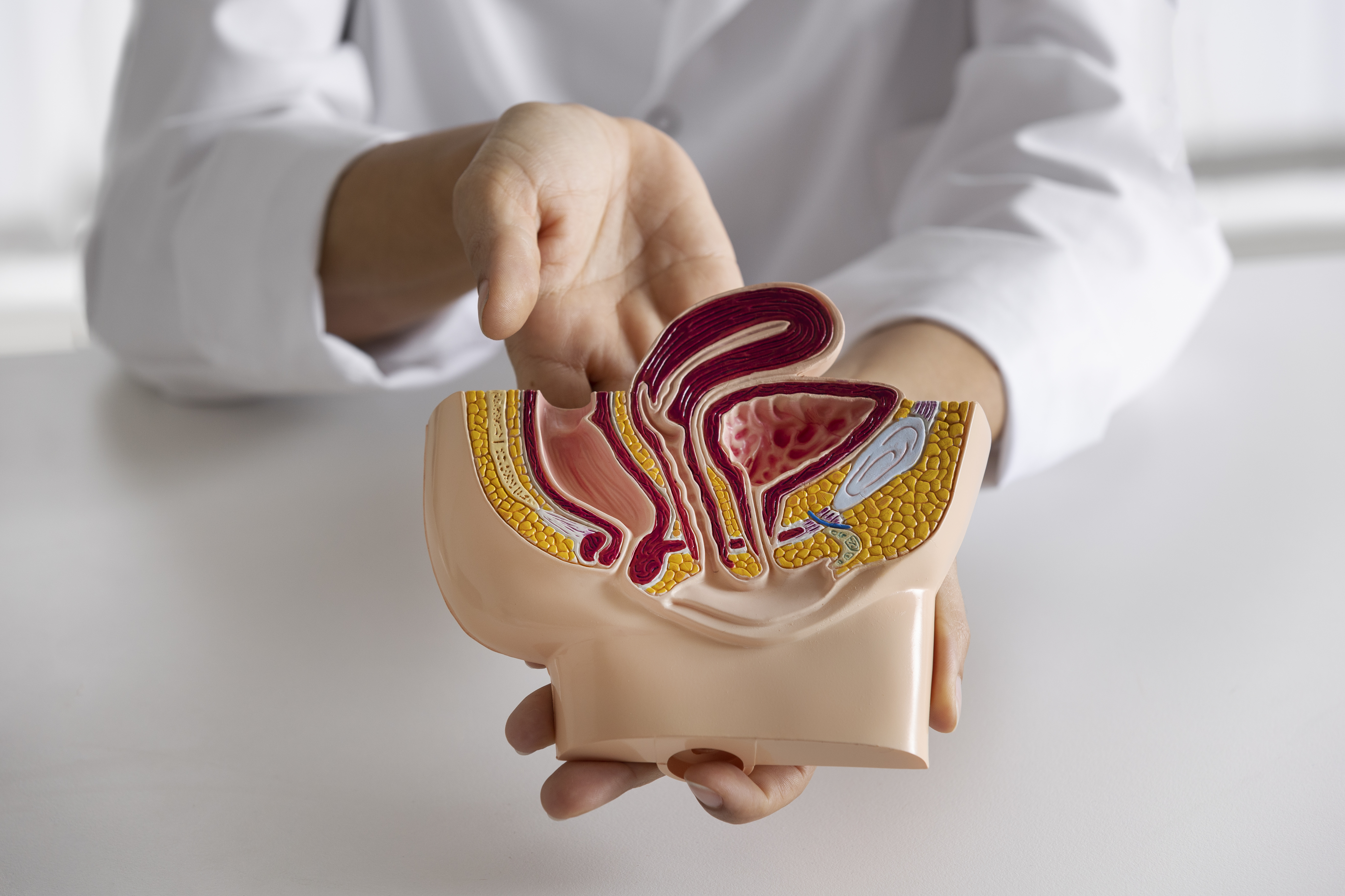 Hernia Repair Surgery at Gaelan Hospital